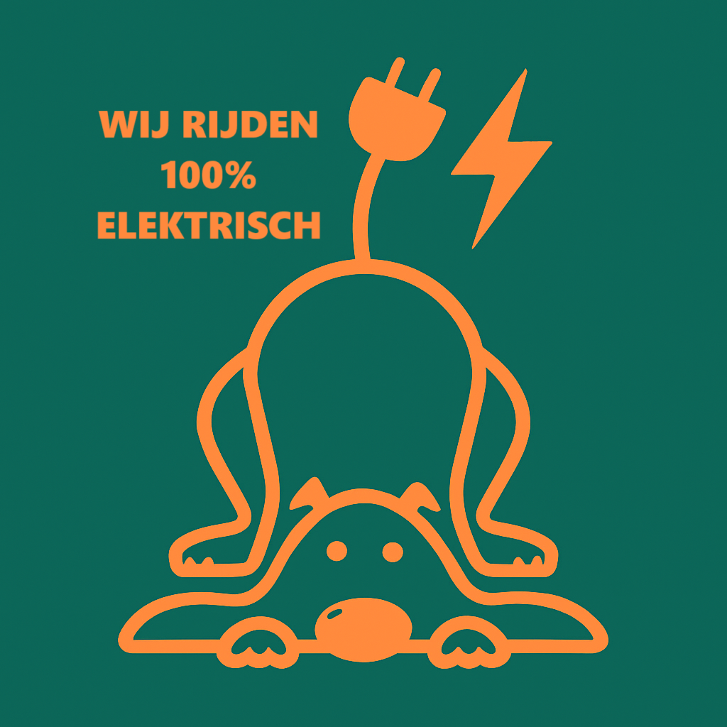 LOGO ELEKTRISCH BETER